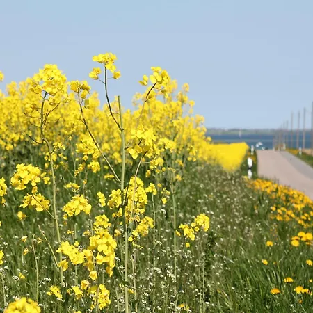 דירה In Der Naehe Von